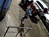 �enu v Praze p�epadl násilník ve sdíleném aut�