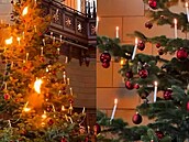 �výcarsko stále zdobí váno�ní stromky skute�nými sví�kami