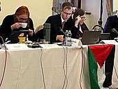 Pavel �i�inský s vyv�enou palestinskou vlajkou na zasedání zastupitelstva...