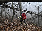 Policisté a hasi�i pátrají po dvanáctiletém chlapci z Halenkovic na Zlínsku....