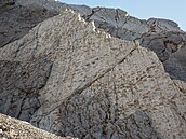 Nedaleko místa konání nadcházejících Zimních olympijských her ohlásili ital�tí...