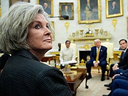 Personální �éfka Bílého domu Susie Wilesová b�hem setkání Donalda Trumpa s...
