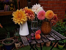 �Ve d�bánech jsou ji�iny, které jsem si vlastnoru�n�  vyp�stovala. Staly se...