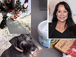 Heidi Jank�. Kníratý hlída�.