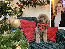 Anna Kade�ávková. Mazlík s ma�lí.