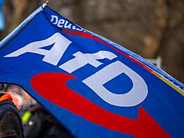 Alternativa pro N�mecko (AfD). (22. února 2025)