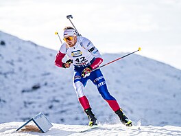 Vít�zslav Hornig b�í mu�ský sprint v Hochfilzenu.