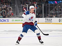 Martin Ne�as se raduje z branky Colorada.