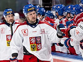 �eský úto�ník Filip Chlapík slaví gól v utkání Euro Hockey Tour proti domácímu...