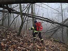 Policisté a hasi�i pátrají po dvanáctiletém chlapci z Halenkovic na Zlínsku....