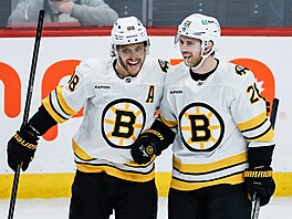 Boston�tí úto�níci David Pastr�ák (vlevo) a Elias Lindholm se radují z gólu.