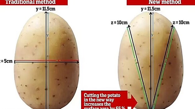 Tradi�n� versus nov� metoda kr�jen� brambor. ��m v�t�� plocha �ezu, t�m v�t�� povrch a oblasti zhn�dnut�.