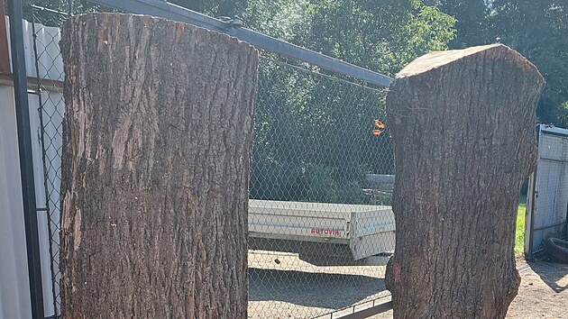 Autor jesli�ek ho vyrobil z kmen� lip, kter� byly pok�ceny v l�ze�sk�m parku.