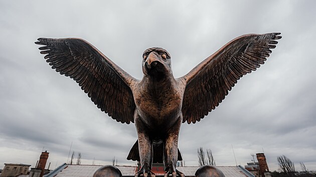 Instalace m�d�n� sochy sokola na sokolovn� v pra�sk�ch Nusl�ch. (11. prosince 2025)