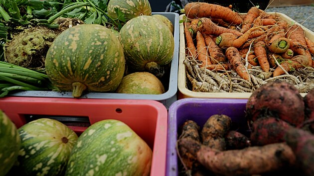 Prima TV, Farma Vojty Kotka