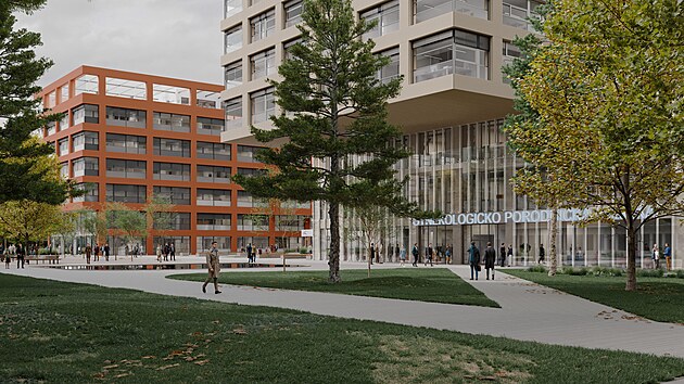 Vizualizace nov� porodnice ve Fakultn� nemocnici Brno