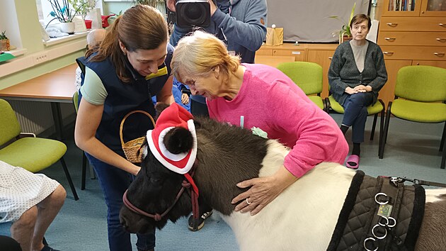 Nejv�t�� radost ze �ty�noh� terapeutky m�li klienti odd�len�.