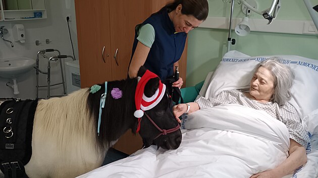 Pon�k p�i�el i na pokoj ke klientce upoutan� na l��ko.