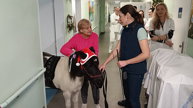 Kde se objevila, byla Roz�rka centrem pozornosti v�ech.