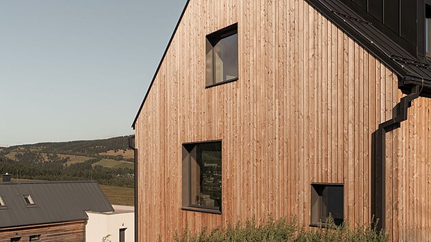 Mod��nov� fas�da, ponechan� bez povrchov� �pravy, z�sk� postupem �asu jemnou st��brno�edou patinu.