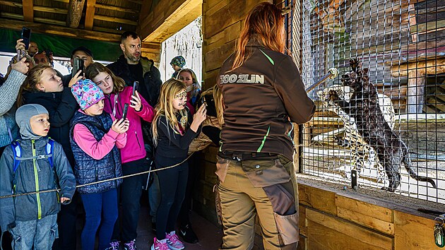 Are�l Zoo Zl�n rozz��ila origin�ln� sv�teln� v�zdoba, rozsv�til se v�no�n� strom na n�dvo�� z�mku Le�n� a u hlavn�ho vstupu. K vid�n� budou speci�ln� krmen� zv��at. (prosinec 2025)