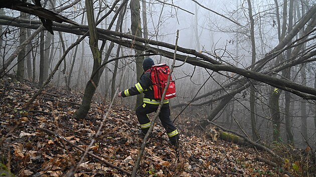 Policist a hasii ptraj po dvanctiletm Marku Hejhalovi z Halenkovic na Zlnsku. (12. prosinec 2025)
