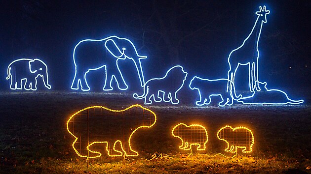 Are�l Zoo Zl�n rozz��ila origin�ln� sv�teln� v�zdoba, rozsv�til se v�no�n� strom na n�dvo�� z�mku Le�n� a u hlavn�ho vstupu. K vid�n� budou speci�ln� krmen� zv��at. (prosinec 2025)