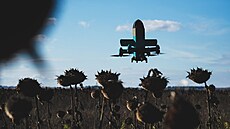 Ukrajinský dron ihadlo je urený pro sestelování ruských ahíd