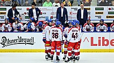 Porada eských hokejist v utkání proti Finsku.