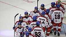 etí hokejisté po výhe nad Finskem.