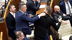 Sloventí poslanci se poprali bhem hlasování v parlamentu