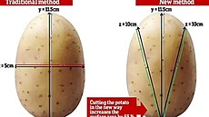Tradi�ní versus nová metoda krájení brambor. �ím v�t�í plocha �ezu, tím v�t�í...