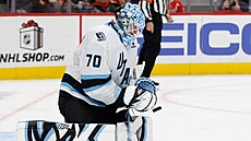 Karel Vejmelka z Utah Mammoth b�hem utkání s Detroit Red Wings.