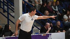 Kou� D��ína Antonín Pi�t�cký b�hem pohárového utkání.