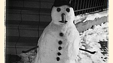 Americký sn�hulák se od toho na�eho p�íli� neli�il. 