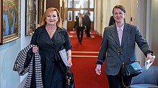 Ministryn� financí Alena Schillerová p�ichází na zasedání nové vlády ANO, SPD a...