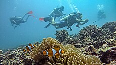 Krásy podmo�ského �ivota jsou pro n�j skv�lým relaxem p�i boji proti pa�erák�m.