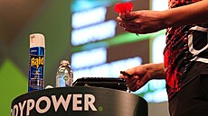 Sprej na hubení hmyzu p�i utkání mistrovství sv�ta v �ipkách.