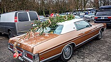 Ilustra�n� sn�mek