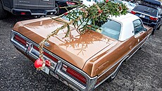 Ilustra�n� sn�mek