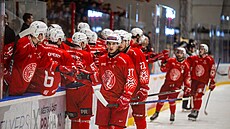 PR�LOMOVÁ SEZONA? Hokejisté Slavie oslavují v Edenu vst�elený gól proti...