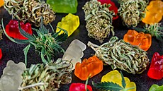 ilustra�ní snímek