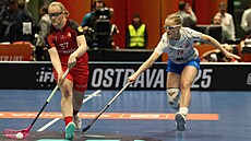 Momentka z finále florbalového MS mezi eskem a výcarskem.