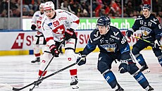 Saku Mäenalanen v souboji o puk s Dariem Simionem.