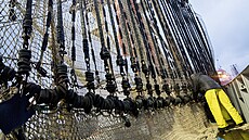 Rybá na nizozemské rybáské lodi TX-38 Branding IV pipravuje elektrické...