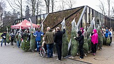 Prodej vánoních stromk, zákazníci, fronta, dé, Krkonoský národní park
