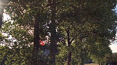 Alej v p�vodní podob�.