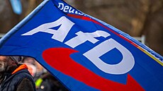 Alternativa pro Nmecko (AfD). (22. února 2025)