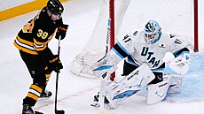 Gólové oslavy bostonského Davida Pastr�áka.