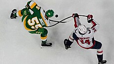 Gólové oslavy bostonského Davida Pastr�áka.